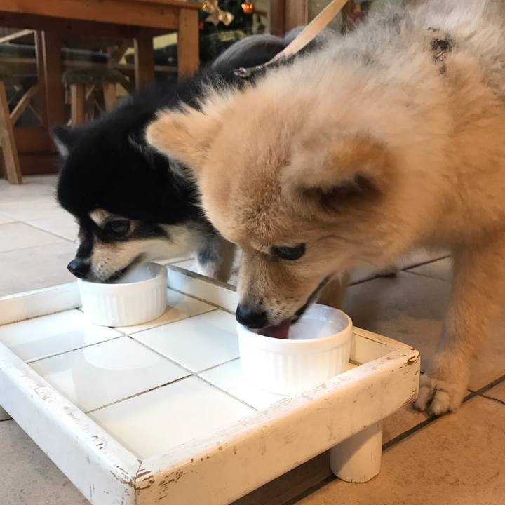 E8f25979 1f11 4c62 a11a 6ebe8b93a538 1581946446185