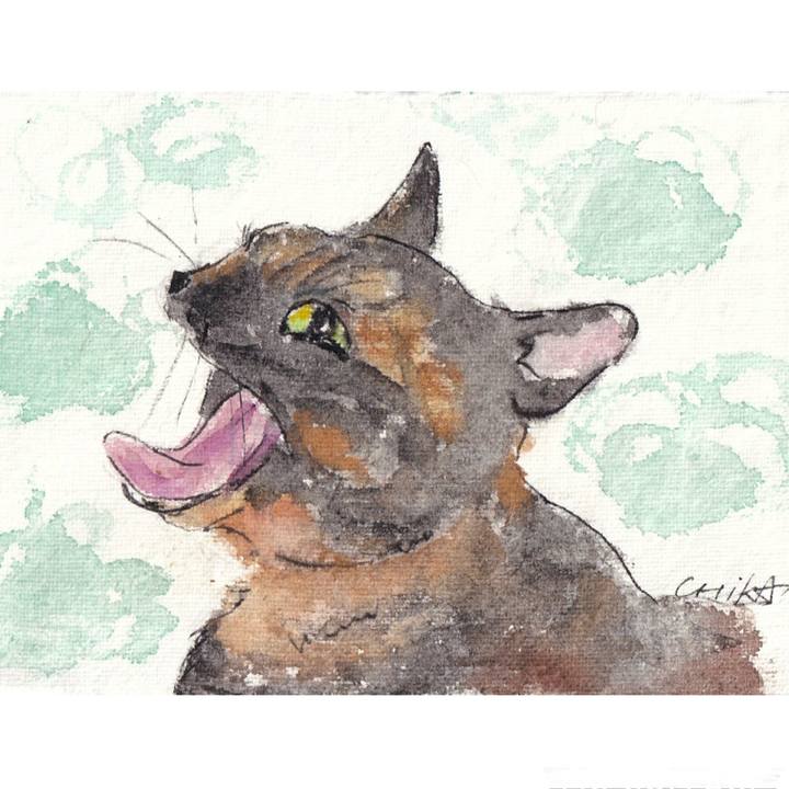 E8f2630e 05b3 43ac a14c 28f044b37162 1761793330287