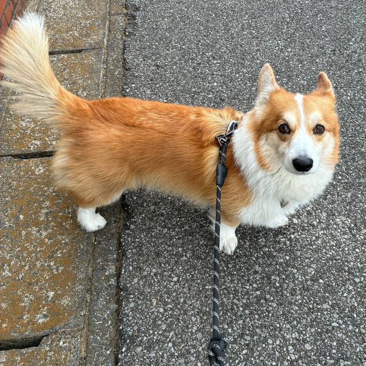 E8f28f29 462c 4df5 8fb6 03608fcbde26 1773026907476