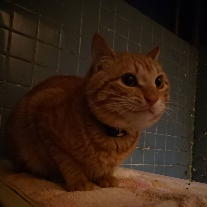 E8f29432 cfa8 4ec0 afd7 479bb599bc43 1646996950738