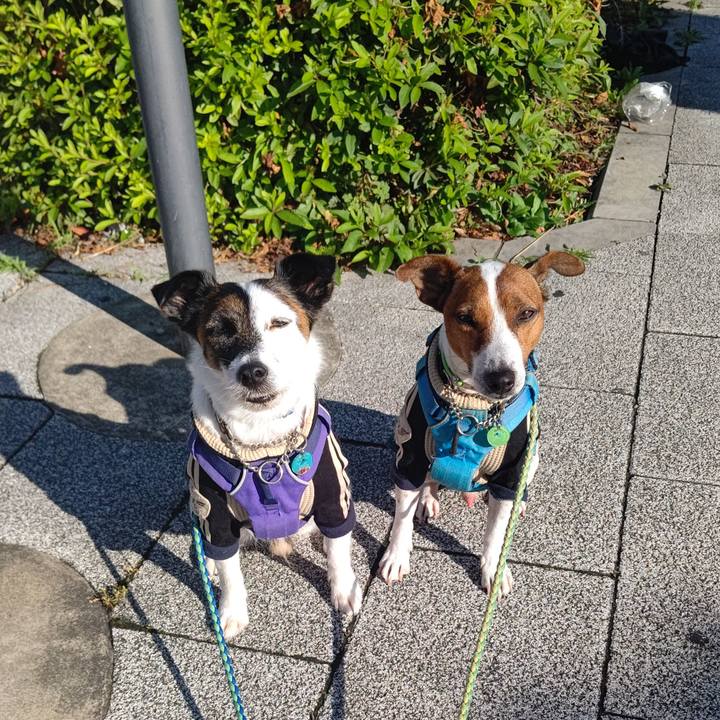 E8f2ef01 beb8 45a4 9635 d4914d493cdb 1653689657681