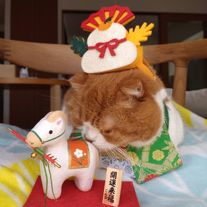 E8f304d6 457e 4d3e b3c4 644c8c3fb5e4 1767487441127