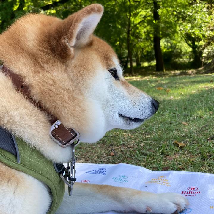 E8f3325b ec16 40c9 bea1 6834da21067f 1715502905708