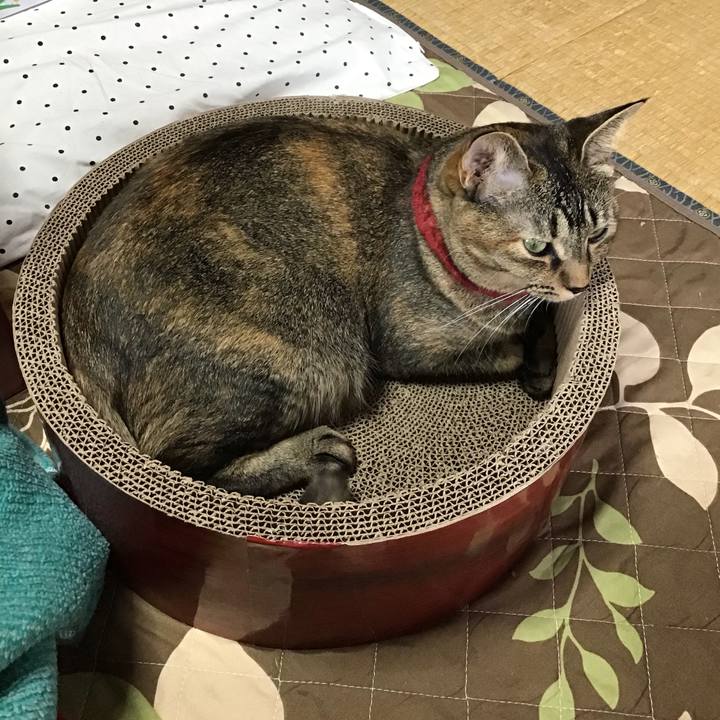 E8f37c6f 5798 4788 8f84 3088da3bb476 1601095102615