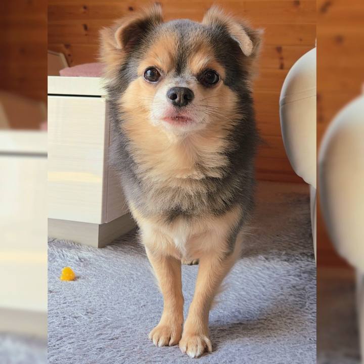 E8f3846e 12f2 454d b4a8 94d38f095e2b 1769574476654