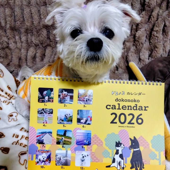 E8f3bed0 d0c6 478e b835 880233bada42 1763544605189