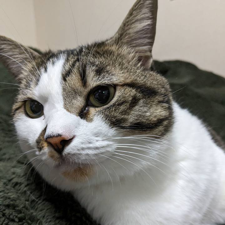 E8f41a25 6398 4a9d b085 7ef594f12237 1697295036720