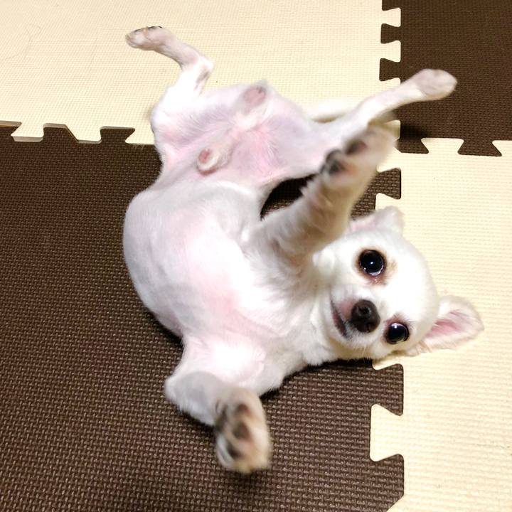 E8f437c8 1e9e 4a74 8d50 bcf3d4bd1604 1532683362587