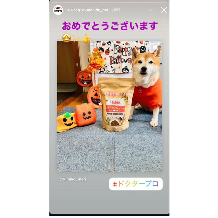 E8f462c4 9aa3 471e a136 c1dc1797ca4f 1730299068255