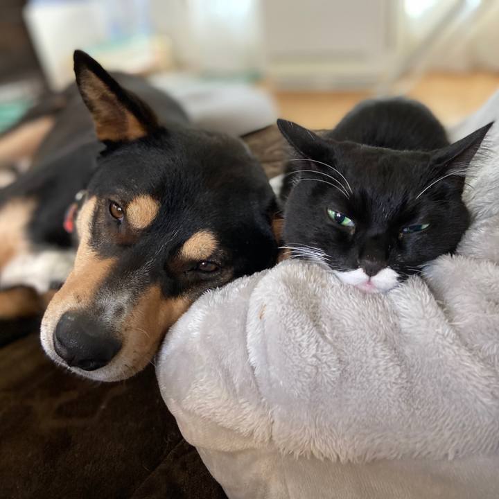 E8f4697d b4e4 49ef 844d 74239b4c7025 1612226768790