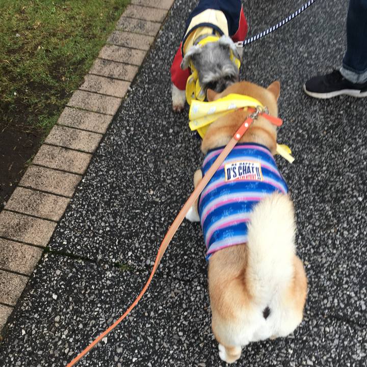 E8f46c66 51e4 4e6d 93e1 bdfc19ce641a 1560079112123