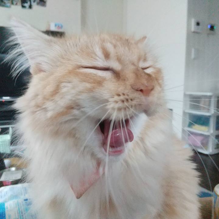 E8f4b39a cf85 4084 849f 9419143fb1f5 1627003320331