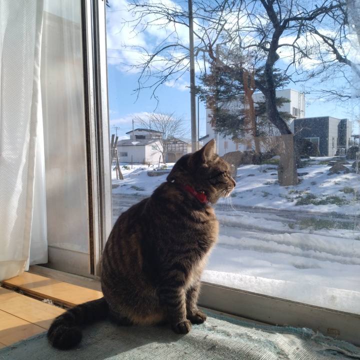 E8f52e18 9330 48d7 8516 0ecd5d8499ba 1705492262805