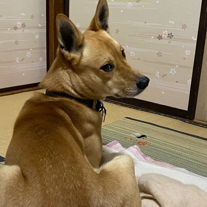 E8f53f37 98d5 4e97 9ce1 813ea2044566 1645348046119