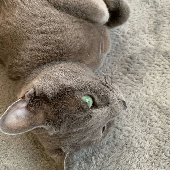 E8f544d3 03fb 4e72 8553 8a83b11841fd 1650586364836