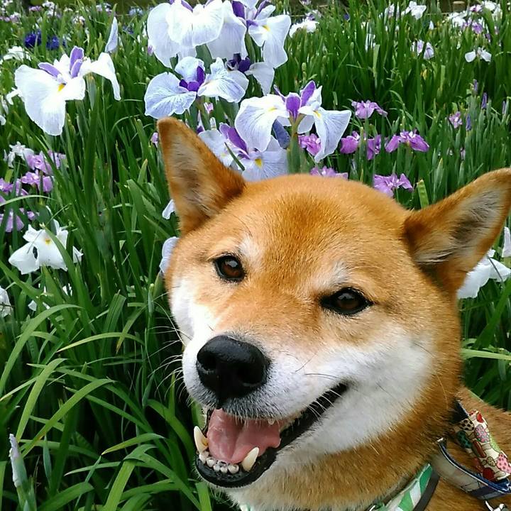 E8f548b0 97a8 4a13 af58 fc3f06fe33d3 1560525098037