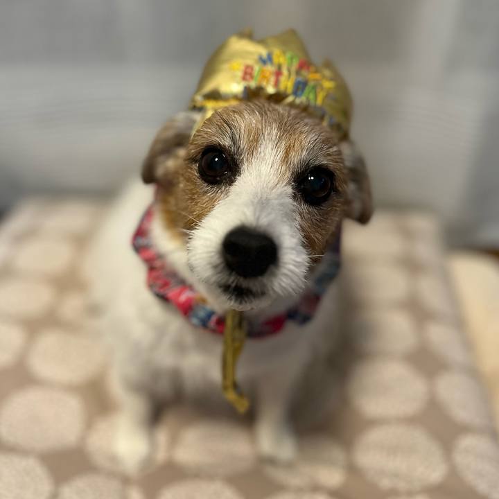 E8f548b6 3f5d 466f a007 011fde334e12 1742384304692