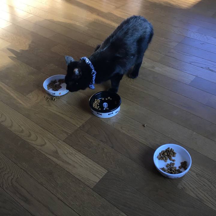 E8f5684e 5e8a 4423 b7d8 bd0631d3070a 1537135473392