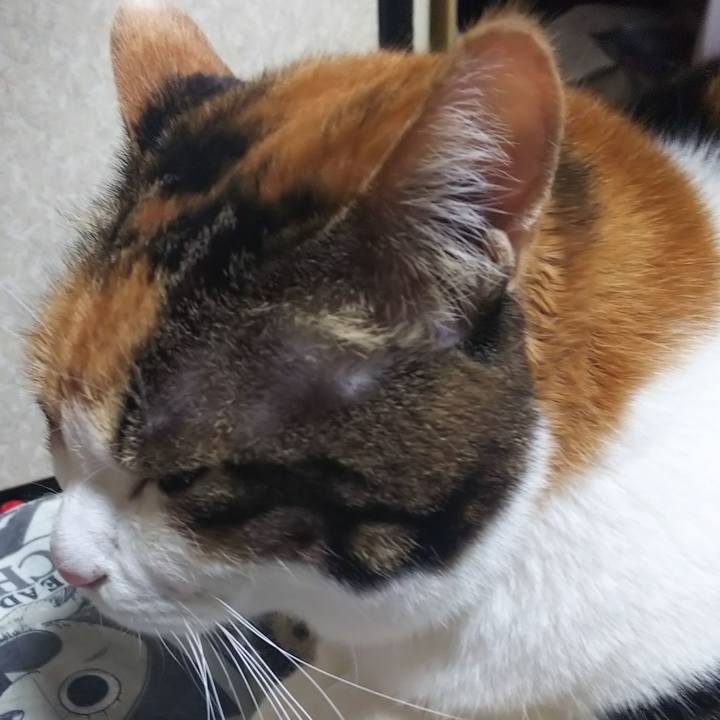 E8f57f2d 4322 43b1 a9b8 c2a1bdf5b0d7 1579215866275