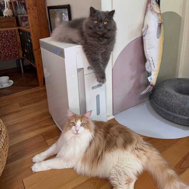 E8f59bef 9b27 4f45 820e ed77fe8b8f5b 1766474378823