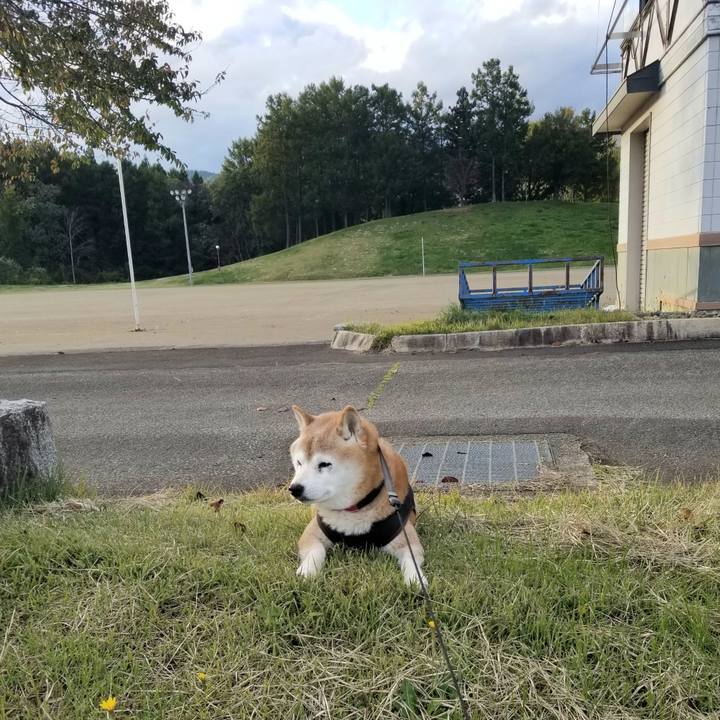 E8f59e03 0a8d 43c4 b4e3 1e87be07cdd1 1730876101643