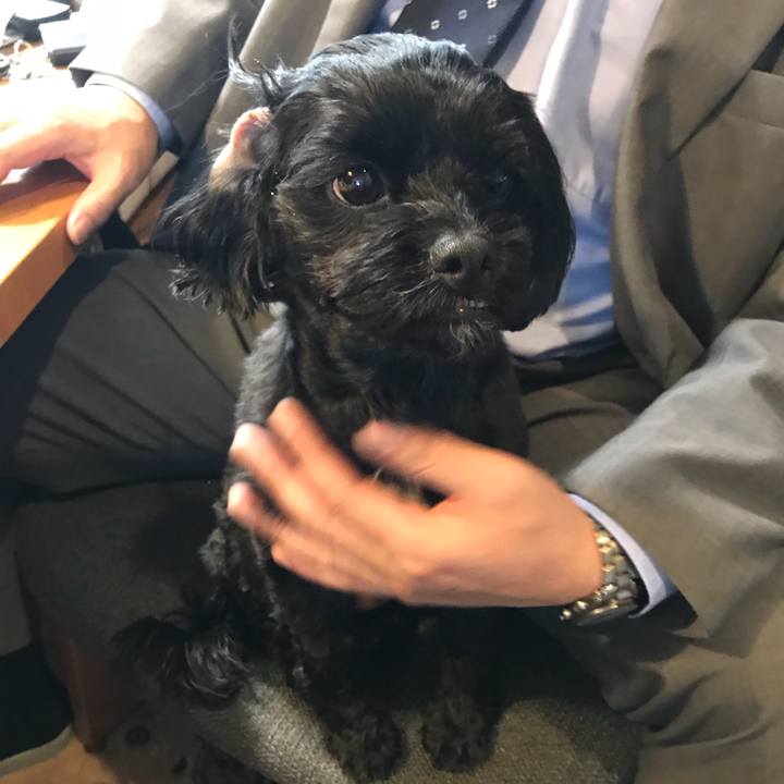 E8f5ad0b 9b39 483c 8b90 8f4f1f6da831 1521118727268