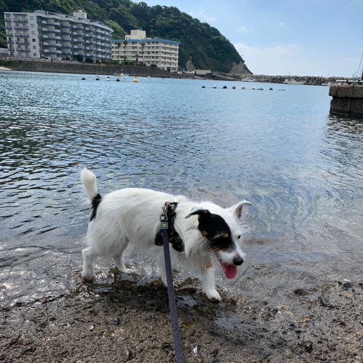 E8f5e5b5 29c4 4077 b08c 69652af30a8b 1662167329503