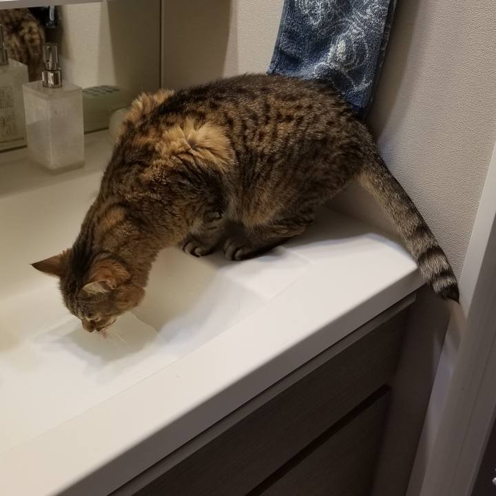 E8f63f85 f119 401e bf67 989e6733928d 1618522697346