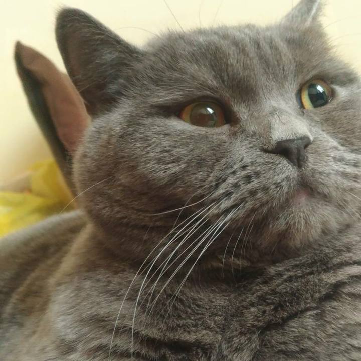 E8f640bd 3918 42f1 84b2 530ac3ee8939 1521621945758