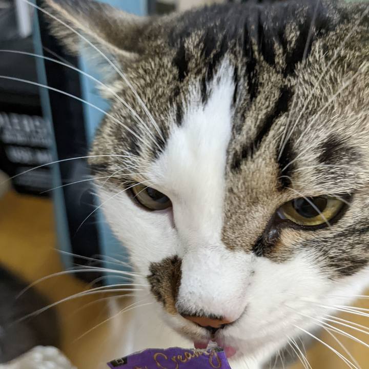 E8f645a5 0647 46e8 bfe1 7af6a456f8b4 1666530037796