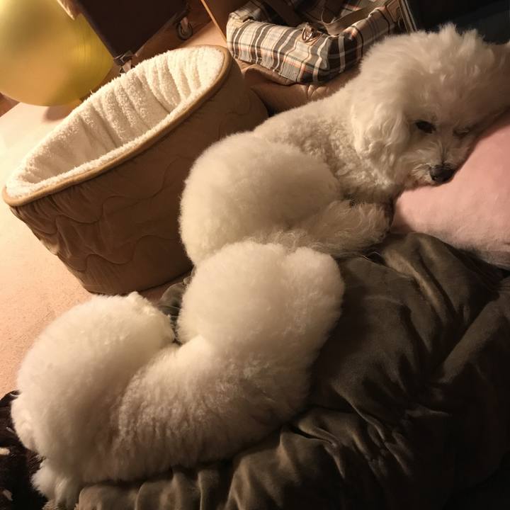 E8f665ff c3a0 484d b497 4b4837e9db86 1573473669498