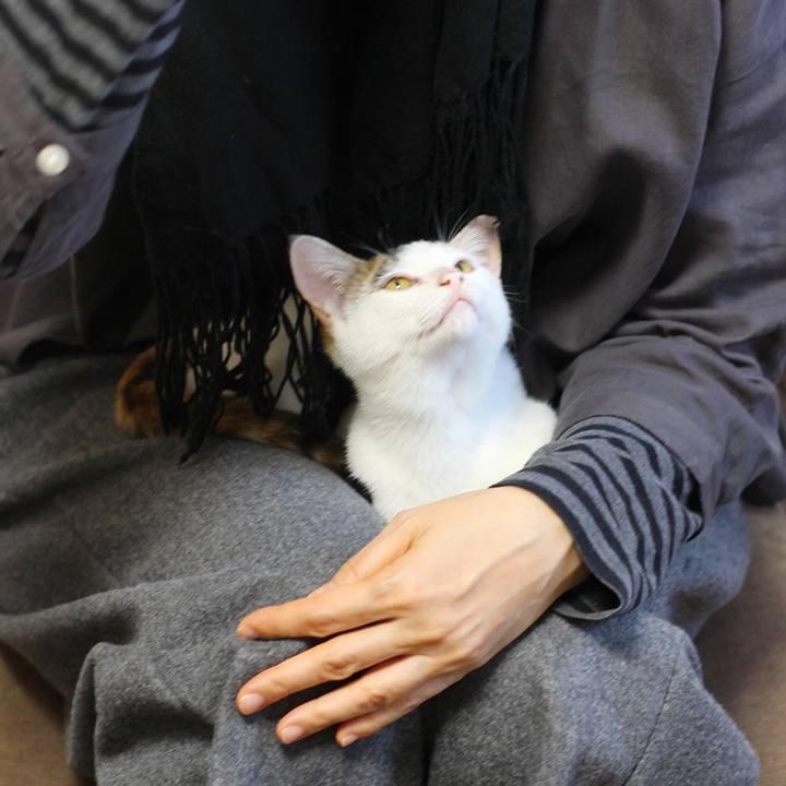 E8f67e68 762e 4ea8 b33a 7aa94f568dc2 1542240395190