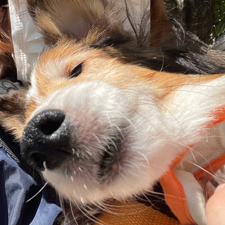 E8f68f63 f1b1 4eeb 9720 4a9cacae45c7 1655796903321