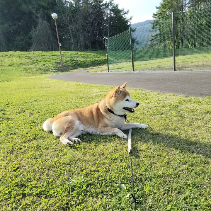 E8f69d1c aa78 40d0 b080 f49c5e85b366 1620286966265