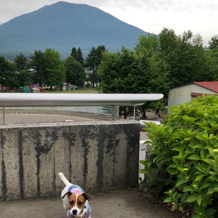 E8f6df10 ae21 4c03 a0bd d5bdc93ba4db 1529288845851