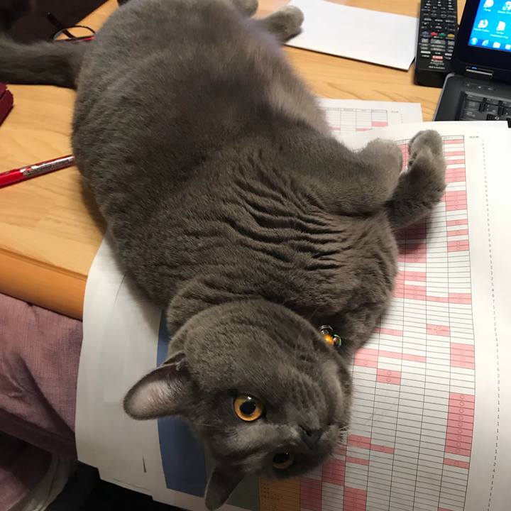 E8f739b7 0b40 4b8c a2e4 eb926470cb9e 1519305276608