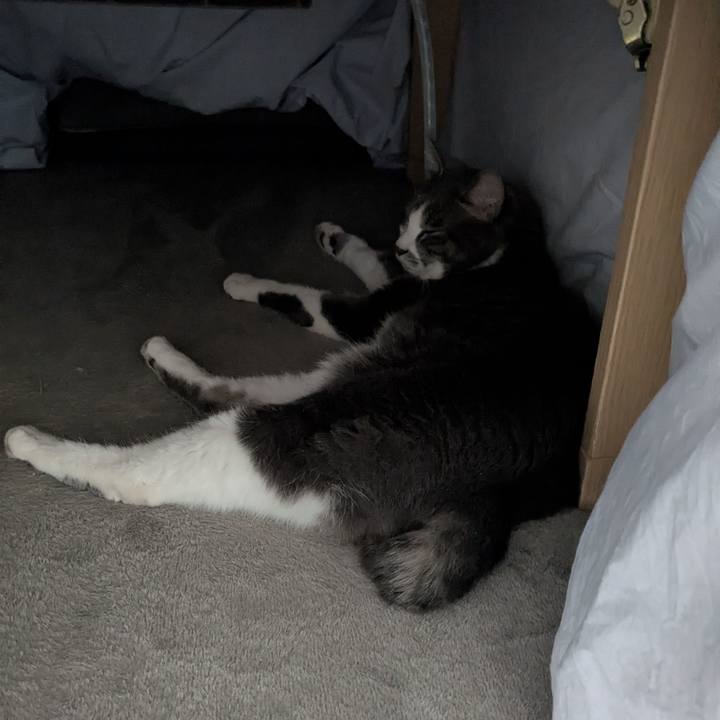 E8f75c8f 0054 4c9e bdfe 398be96cc97f 1773970707732