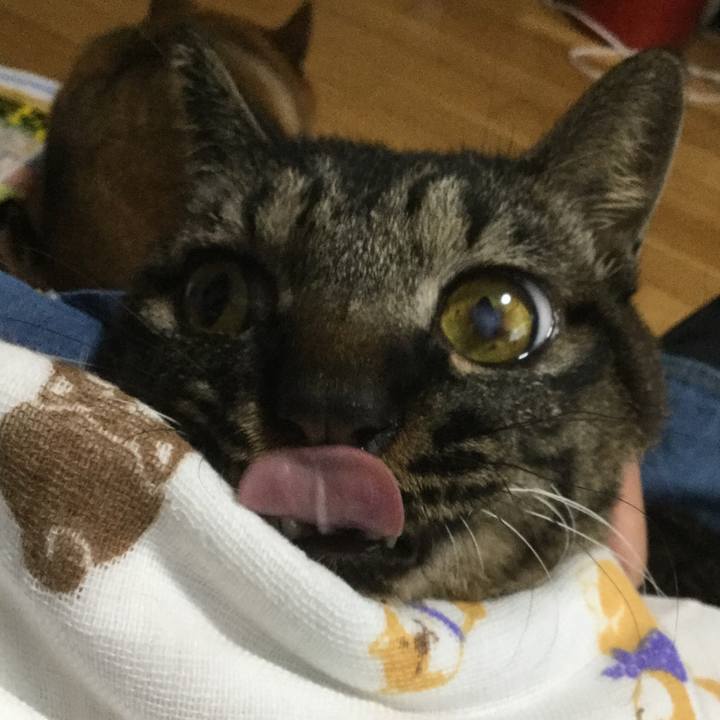 E8f7d5d8 1902 495e bdb0 6dabbd787405 1600324208740