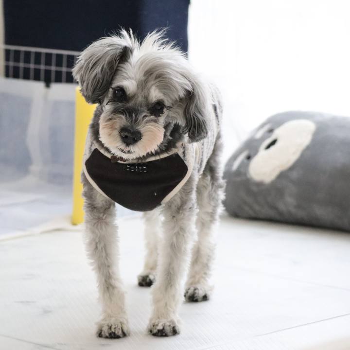 E8f85bfb 53f0 4067 8328 b521675f6d7d 1762994834299