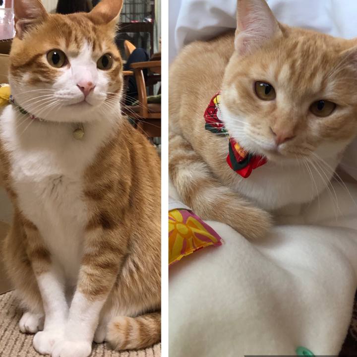 E8f88294 9bf5 43dd 8ab7 0d4c16eaf0d9 1574504782273