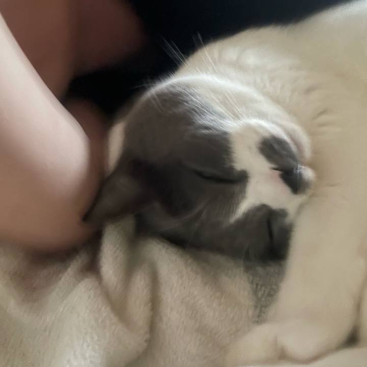 E8f8a5cf 8276 422e a913 ffba4e637474 1730530348703