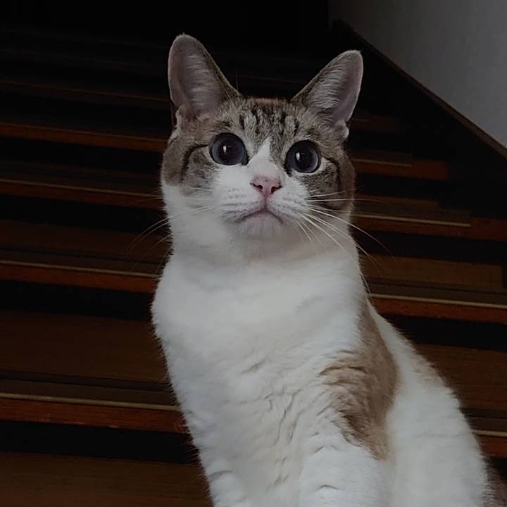 E8f8b4c0 e033 42e9 8319 f7a5390f2891 1628428803228