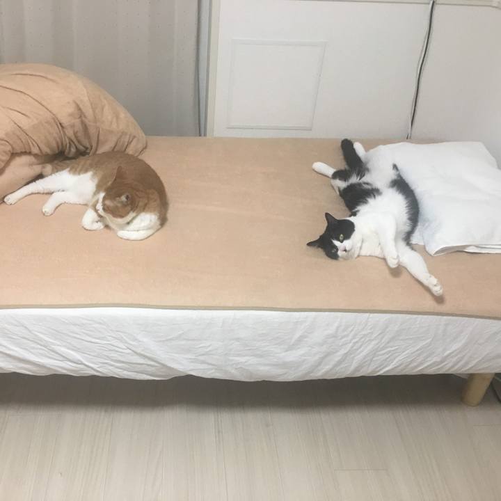 E8f8bdf7 2edd 417c 801b 72d111df80ce 1567597834492