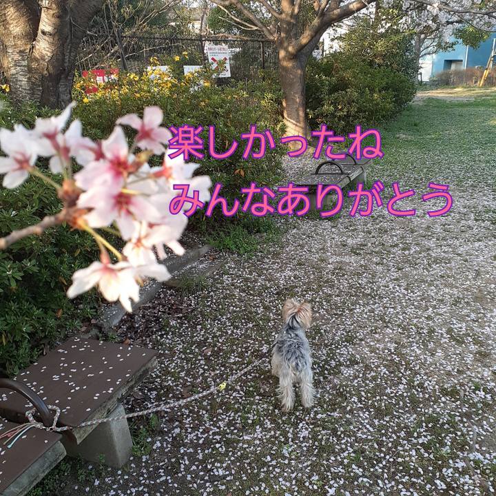 E8f8dc54 6264 436b 8dd4 650813a94684 1680403024680