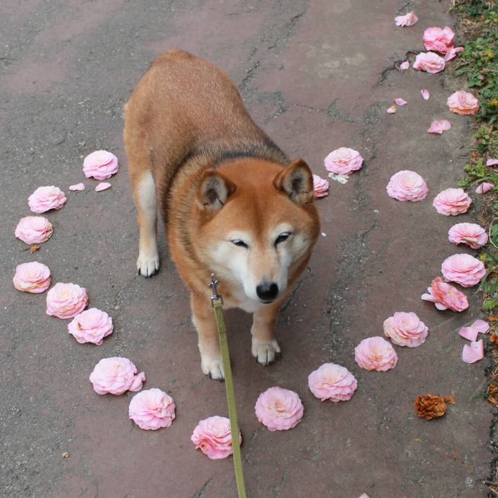 E8f917e7 e3e7 44fb a795 c551fbaff19e 1616643704329