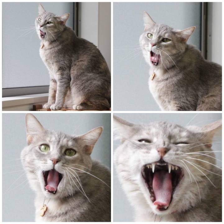 E8f9216d f21f 4350 aec0 2e948120a911 1580280593238