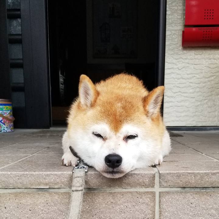 E8f9604f f4ae 44f0 beac 4a4a6b28ceab 1627367383735