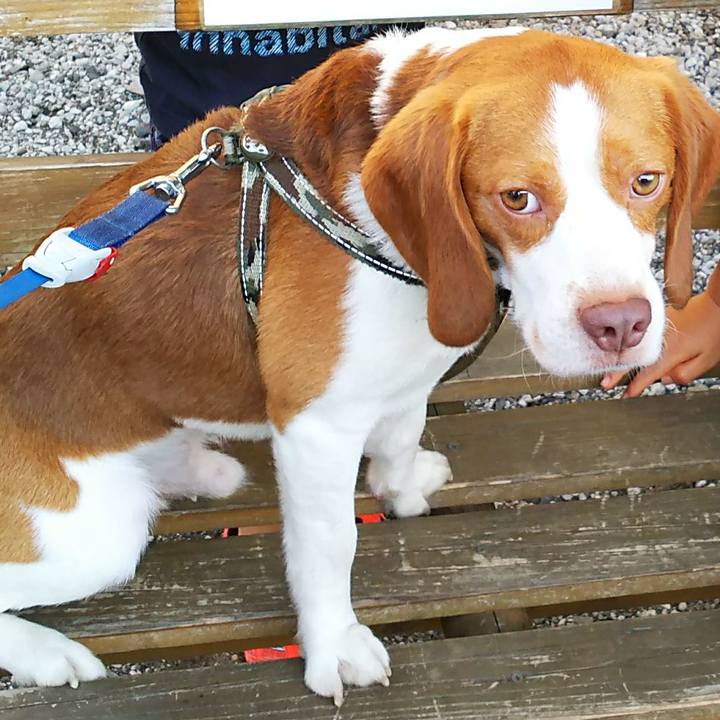 E8f9869a 3c3b 4ebc b7ca bcda5e80c655 1532866053157