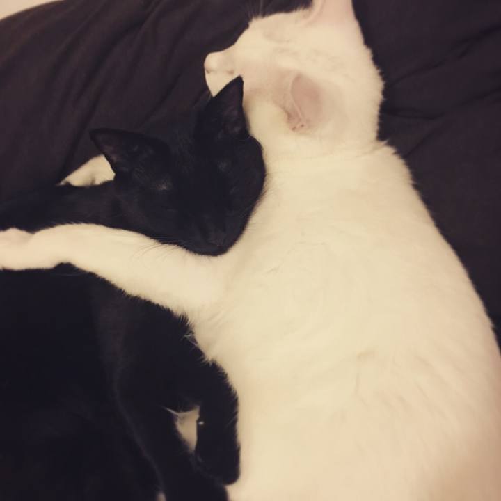 E8f987fd 91b6 4314 bac1 81d6b8323a5f 1538670464617