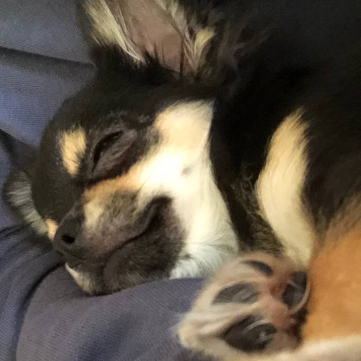 E8f98dcc 7efd 4377 aa74 fb2bfd5cc2d9 1541059278985